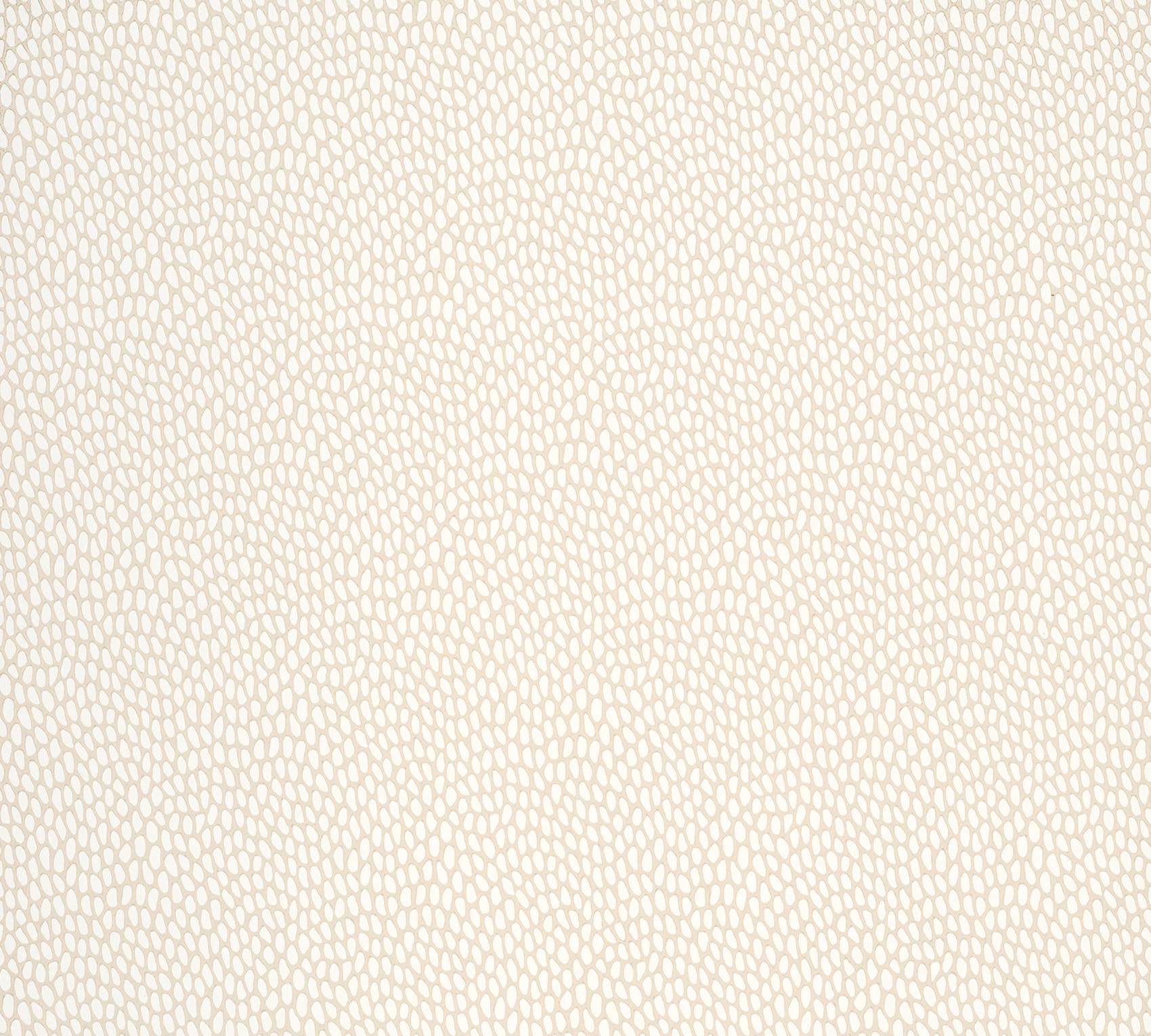 Обои Paint & Paper Library Botany Seedpod Sand 0360SESANDZ